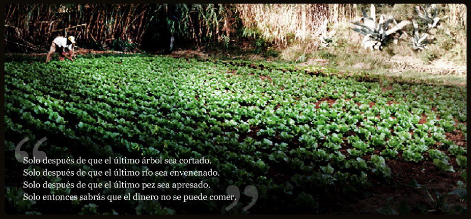 Biohuerta